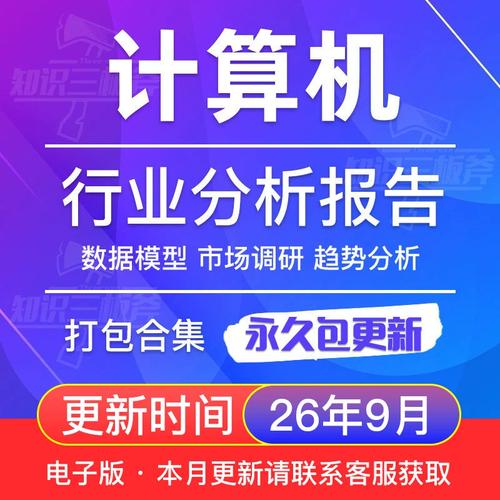 2017-2025中国计算机软硬件与视觉产业市场调研白皮书